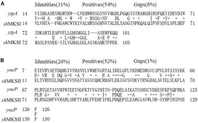 Biosynthesis of the Nematode Attractant 2-Heptanone and Its Co-evolution Between the Pathogenic Bacterium Bacillus nematocida and Non-pathogenic Bacterium Bacillus subtilis